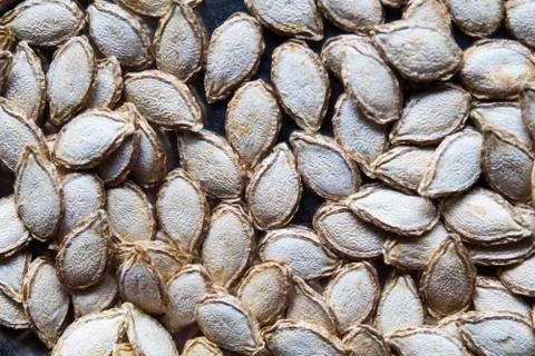 Pumpkin seed background Stock Photos