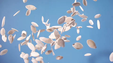 Pumpkin seed explodes closeup in super slow motion 1000fps Stock Footage 257057020