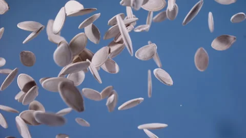 Pumpkin seed explodes closeup in super slow motion 1000fps Stock Footage 257057568