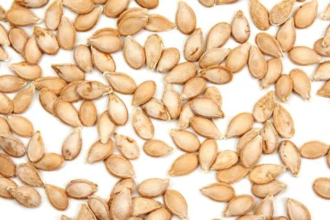 Pumpkin seed Stock Photos