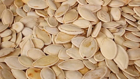 Pumpkin seed seeds closeup texture video on rolling rotating looping plate Stock Footage 104326321