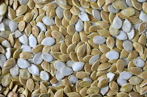 Pumpkin seeds background 스톡 사진