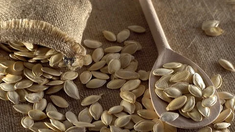 Pumpkin seeds close up. Видео 70012519