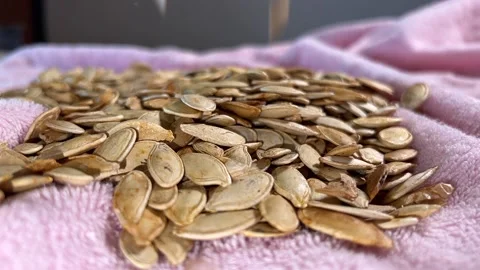 Pumpkin seeds collected in pile Stock-Footage 222198637