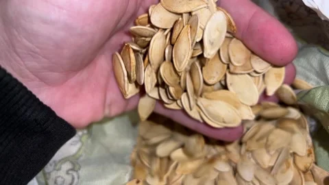 Pumpkin seeds collected in sack Stock-Footage 221784123