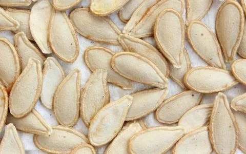 Pumpkin seeds Stock Photos