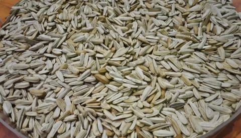 Pumpkin Seeds Foto stock