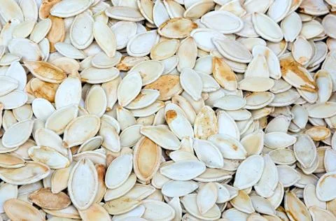 Pumpkin seeds Stock Photos