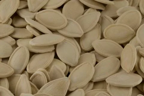 Pumpkin seeds Stock Photos