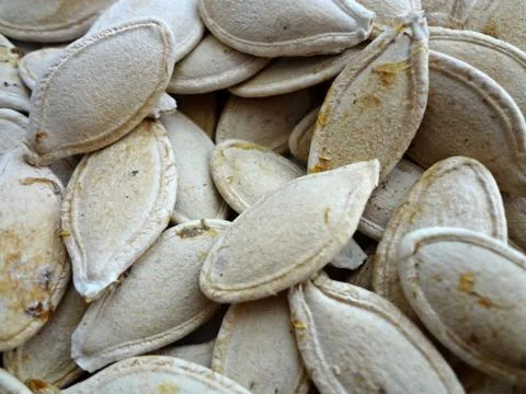 Pumpkin seeds Stock Photos