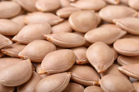 Pumpkin seeds Stock Photos