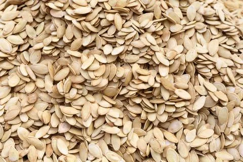 Pumpkin seeds 스톡 사진
