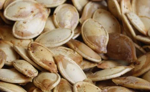 Pumpkin Seeds Stock Photos