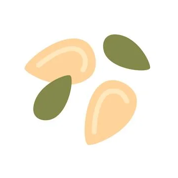 Pumpkin seeds in shell and without it. Vector illustration isolated on white  Stock Illustration