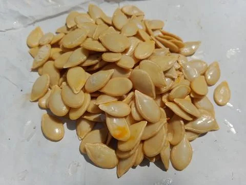 Pumpkin seeds on white background Fotos Stock