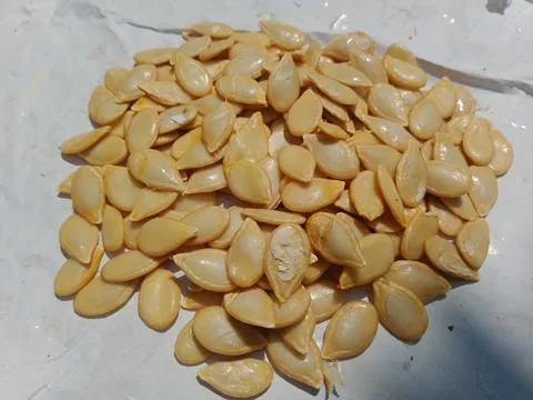 Pumpkin seeds on white background Фото