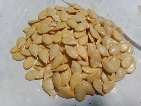 Pumpkin seeds on white background Stock Photos