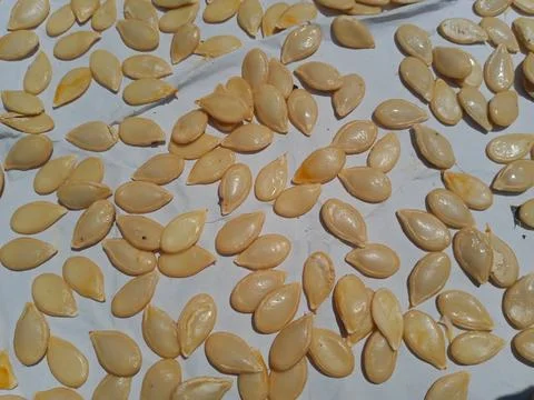Pumpkin seeds on white background Stock Photos
