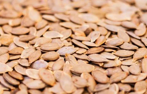 Pumpkin seeds without Husk close up – copy space for text. Stock Photos