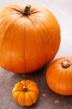 Pumpkin selection Foto stock