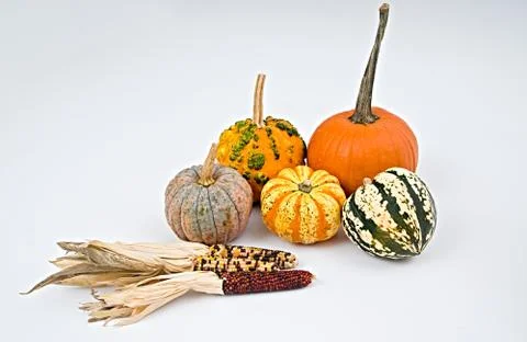 Pumpkin selection   on white background for Halloween Stock Photos
