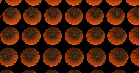 Pumpkin serial production Video stock 102925046