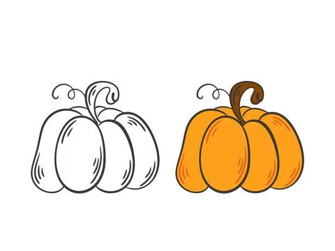 Pumpkin set black outline doodle illustration and color version Ilustração Stock