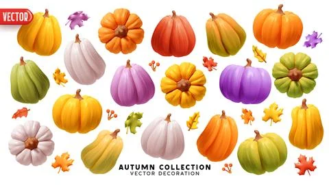 Pumpkin set realistic 3d design. Pumpkin for holidays and fall harvest season Stock Illustration
