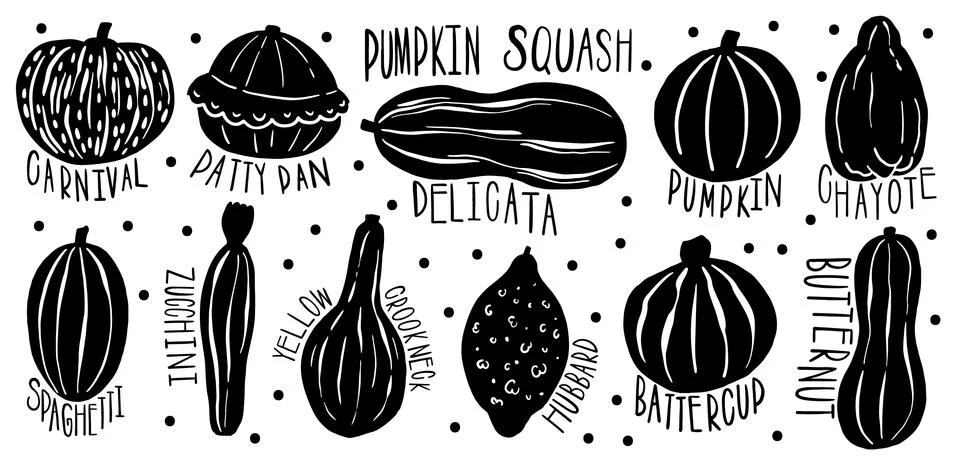 Pumpkin set type name collection.Varieties shape and color.Collection hand dr Stock Illustration