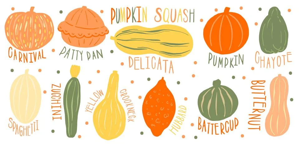 Pumpkin set type name collection.Varieties shape and color.Collection hand dr Stock Illustration