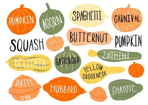 Pumpkin set type name collection.Varieties shape and color.Collection hand dr Stock Illustration