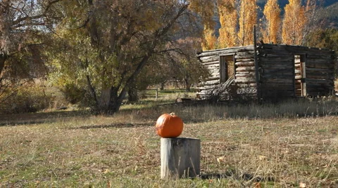 Pumpkin shot off log P HD 8084 Video stock 914791