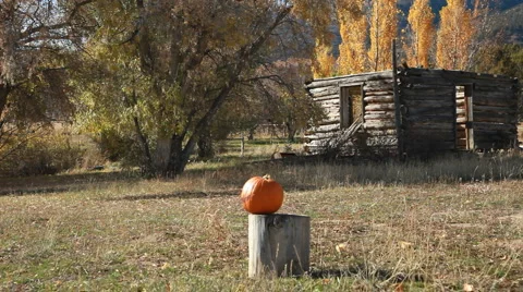 Pumpkin shot off log slow P HD 8084 Video stock 914958