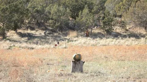 Pumpkin shot with muzzleloader rifle P HD 0475 Video stock 8911444