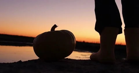 Pumpkin silhouette Stock Footage 162611895