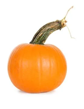Pumpkin: Single Pumpkin on White Stock Photos