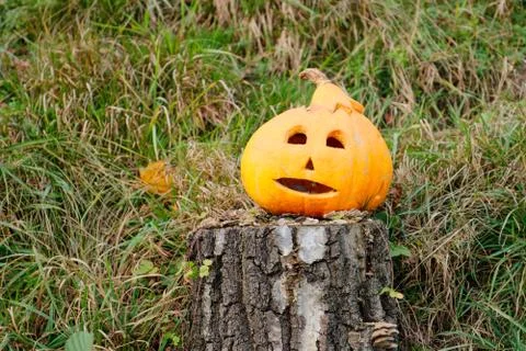 Pumpkin sitting on a stump in the grass Stock Photos