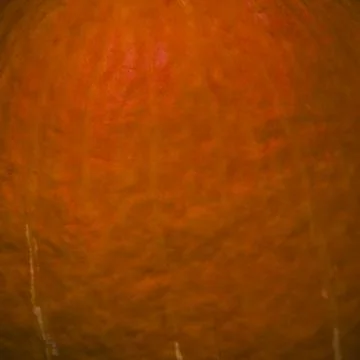 Pumpkin Skin Texture Close-up Background Stock Photos