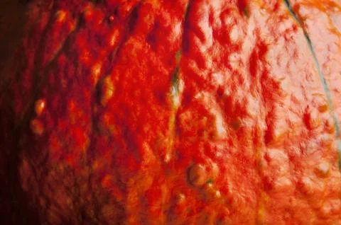 Pumpkin skin texture (orange background) Stock Photos