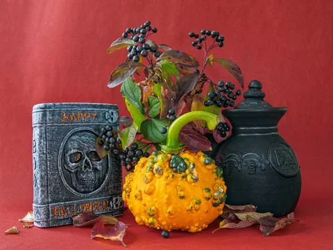 Pumpkin, skull Stock Photos