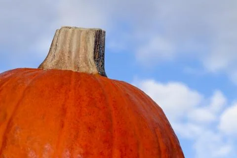 Pumpkin Sky Stock Photos