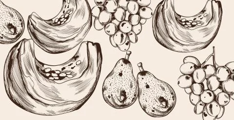 Pumpkin slice and fruits pattern line art Vector. Autumn fall harvest decors Stock Illustration