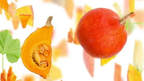 Pumpkin Slice and Leaf Collection Stock Footage 220542163