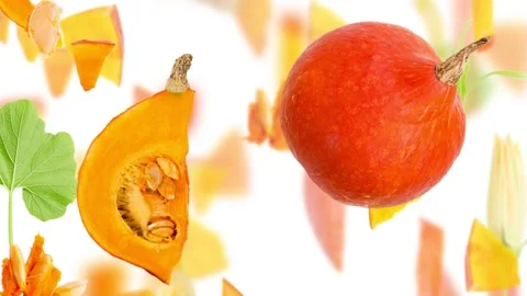 Pumpkin Slice and Leaf Collection Stock Footage 220726998