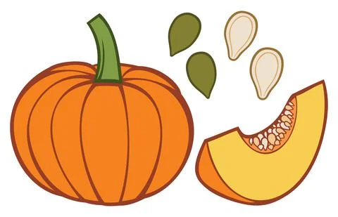 Pumpkin with slice and seeds Stock Illustration