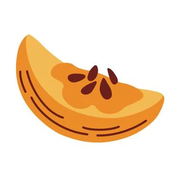 Pumpkin slice with seeds. Single slice of the tasty pumpkin. Autumn harvest.  Stock Illustration