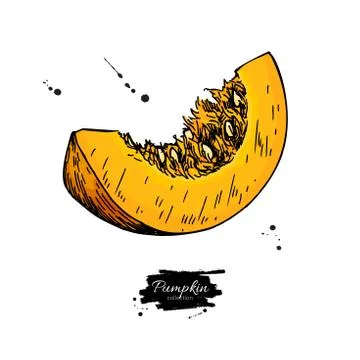 Pumpkin sliced piece vector drawing. Isolated hand drawn object. Stock Illustration