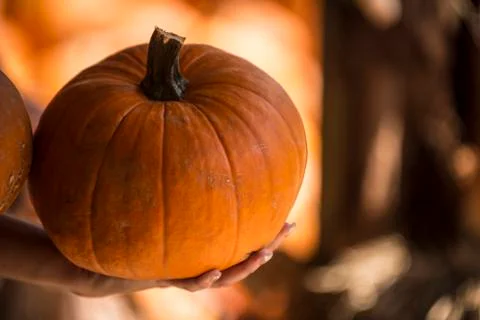 Pumpkin in small hand Foto stock