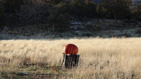 Pumpkin smashing explosive blast slow motion HD Stock Footage 69959622