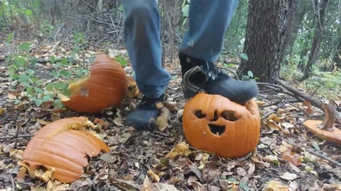 Pumpkin smashing Stock Footage 255451704